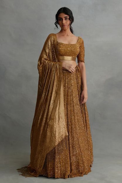 Lehenga Set in all over Line Sequin Embroidery