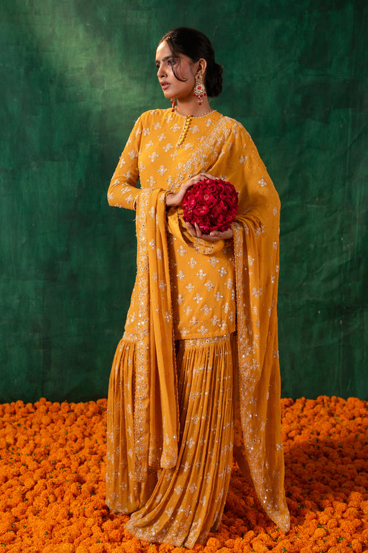 Gharara Set in mirror and thread embroidery