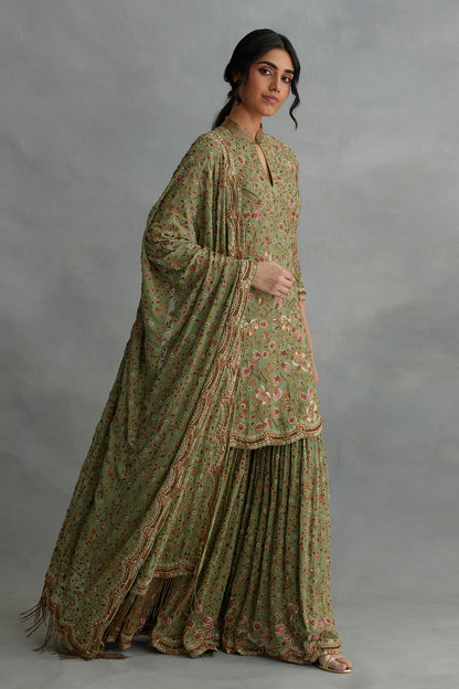 Gharara Set in Intricate Floral  Embroidery