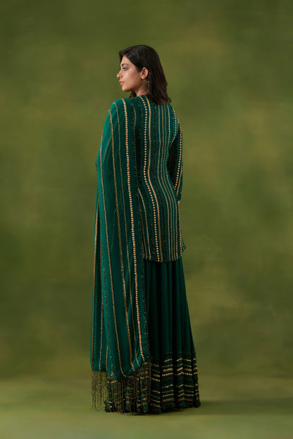 Sharara Set in Multi Sequin Lines Embroidery