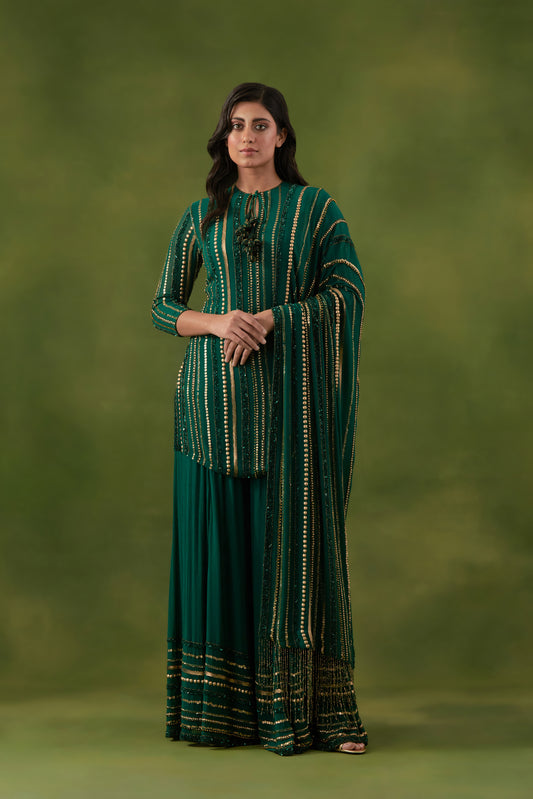 Sharara Set in Multi Sequin Lines Embroidery