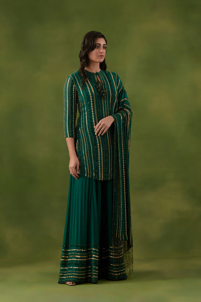 Sharara Set in Multi Sequin Lines Embroidery