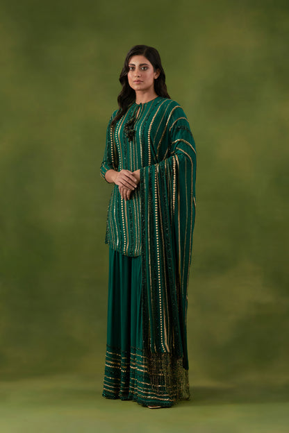 Sharara Set in Multi Sequin Lines Embroidery