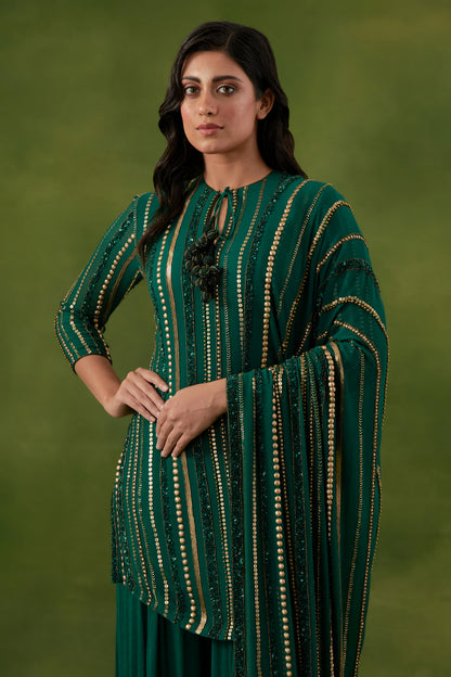 Sharara Set in Multi Sequin Lines Embroidery