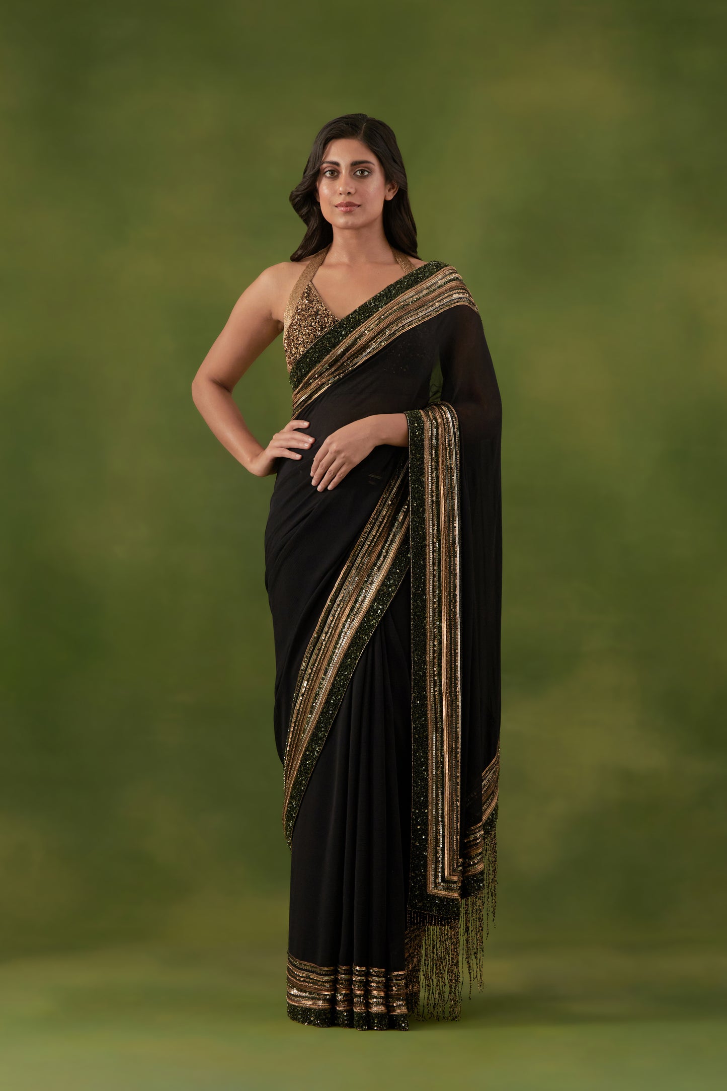 Sari Set in Multi Sequin Border Design