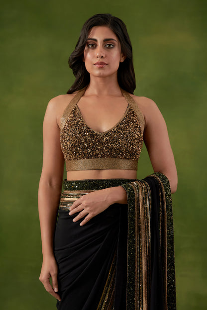 Sari Set in Multi Sequin Border Design
