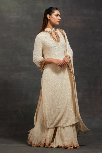 Kurta Set In Tonal & Gold Sprinkle Sequin Embroidery