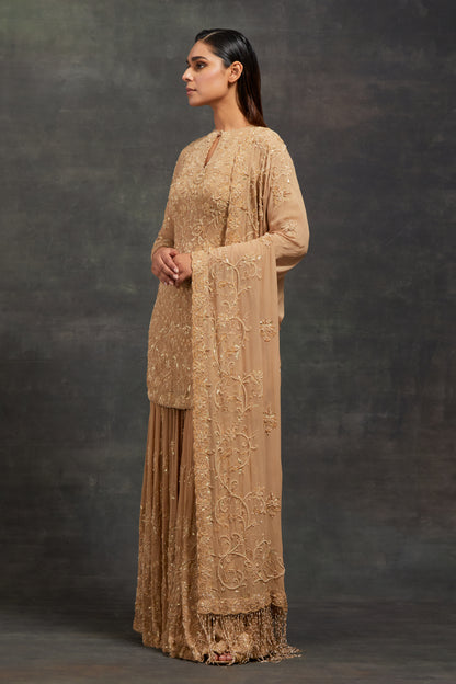 Gharara Set In Pearl, Sequin and Thread Embroidery