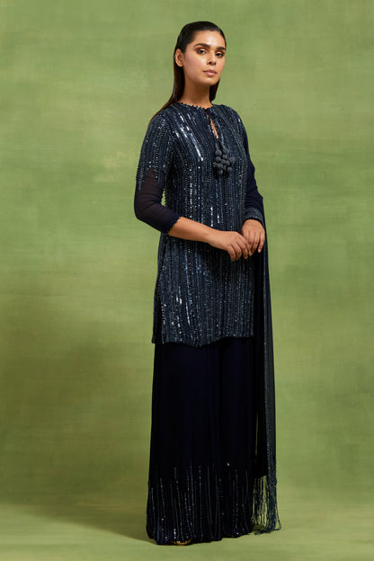 Sharara Set in Mix Tonal Sequin Lines