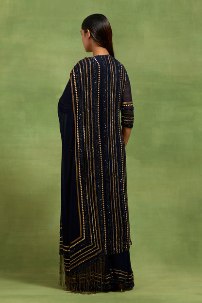 Kurta Set in Sequin Line embroidery