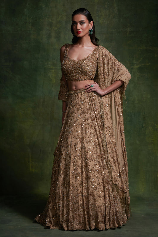 Lehenga Set in Sequin Sprinkle and Stone Embroidery
