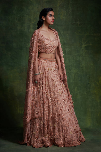 Lehanga Set in 3D Floral Embroidery