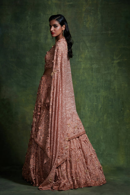 Lehanga Set in 3D Floral Embroidery