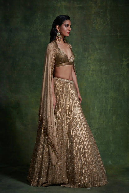 Lehenga, Blouse Cape Dupatta in Mixed Line Sequins Embroidery