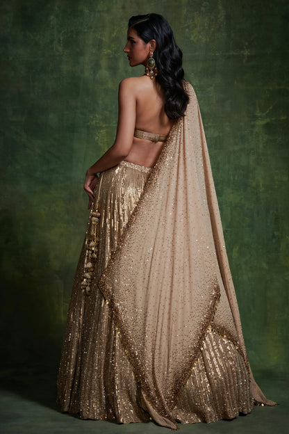 Lehenga, Blouse Cape Dupatta in Mixed Line Sequins Embroidery