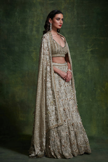 Lehenga Set in 3D Floral Embroidery