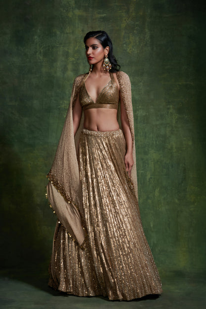 Lehenga, Blouse Cape Dupatta in Mixed Line Sequins Embroidery