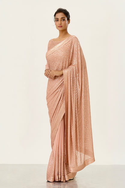 Sari Set with Tonal Sequin Embroidery