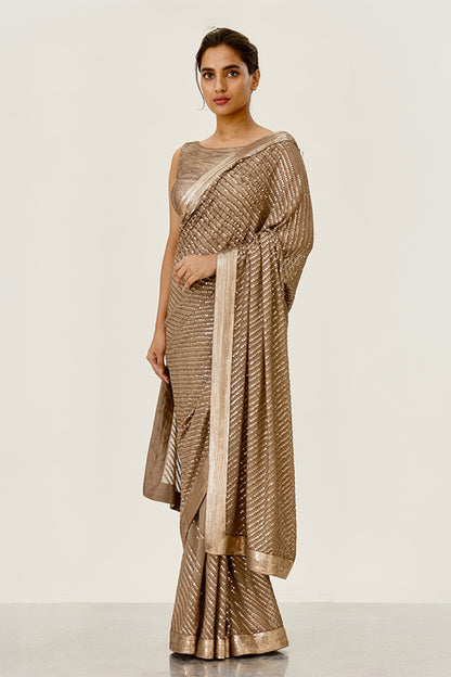 Sari Set with Tonal Sequin Embroidery