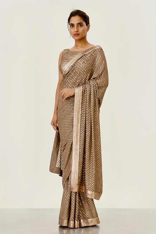 Sari Set with Tonal Sequin Embroidery