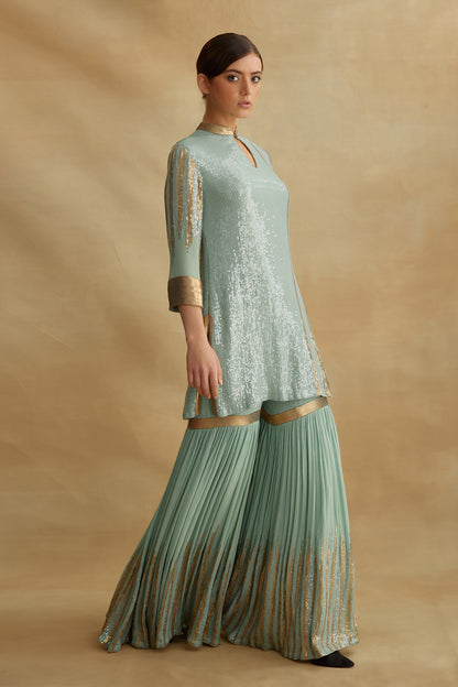 Gharara Set with Sequin Embroidery