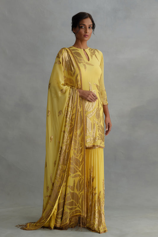 Gharara Set in Lotus design sequin embroidery