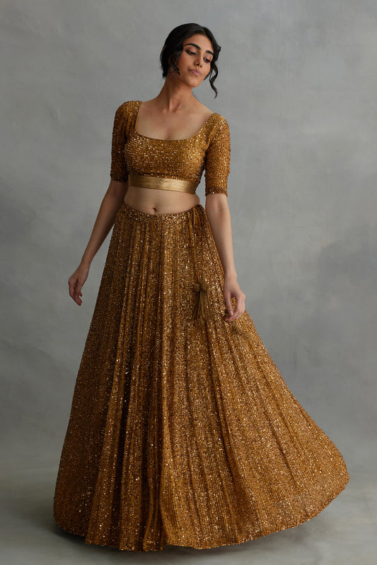 Lehenga Set in all over Line Sequin Embroidery