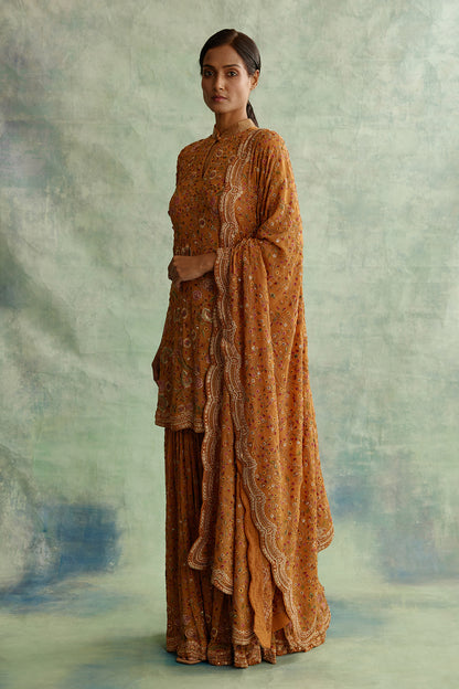 Gharara Set with Floral Thread Embroidery
