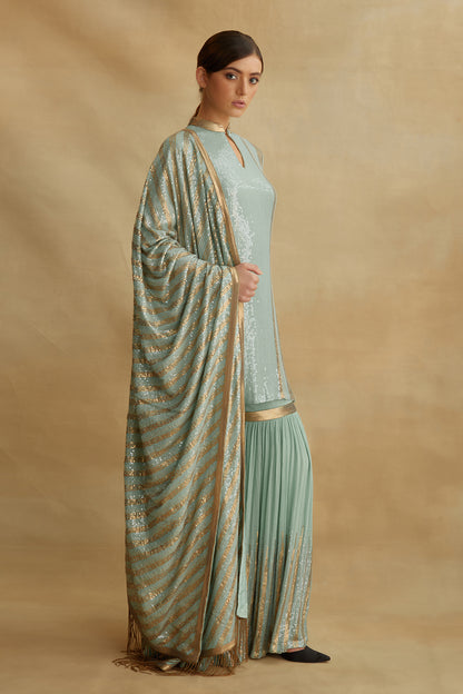 Gharara Set with Sequin Embroidery