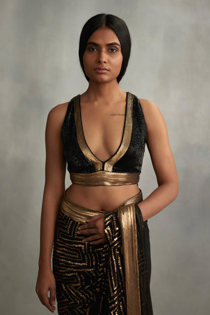 Sari Set with Gold Sequin Embroidery