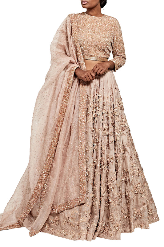 Lehenga Set in 3D Floral Embroidery