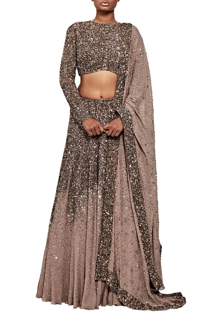 Lehenga Set in Tonal Sequin Embroidery