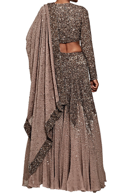 Lehenga Set in Tonal Sequin Embroidery