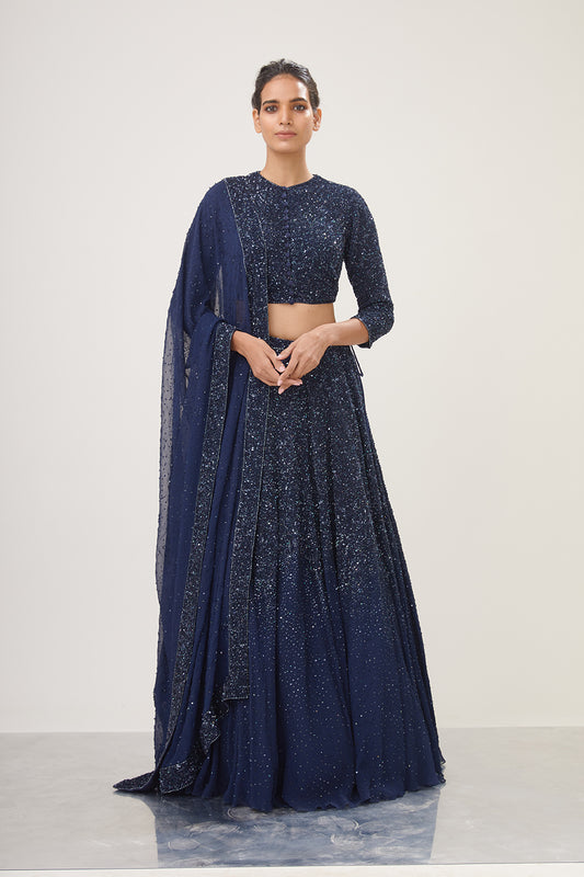Lehenga Set in Tonal Sequin Embroidery