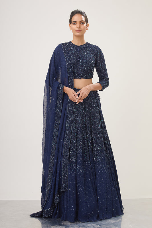 Lehenga Set in Tonal Sequin Embroidery