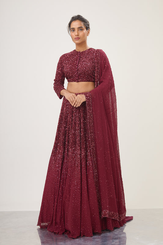 Lehenga Set in Tonal Sequin Embroidery