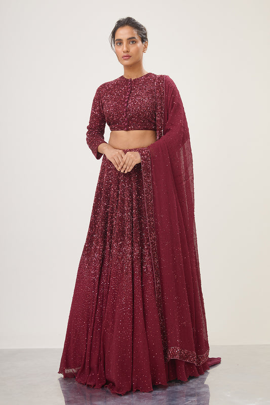 Lehenga Set in Tonal Sequin Embroidery