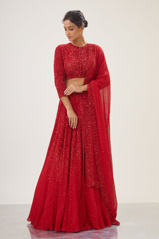 Lehenga Set in Tonal Sequin Embroidery