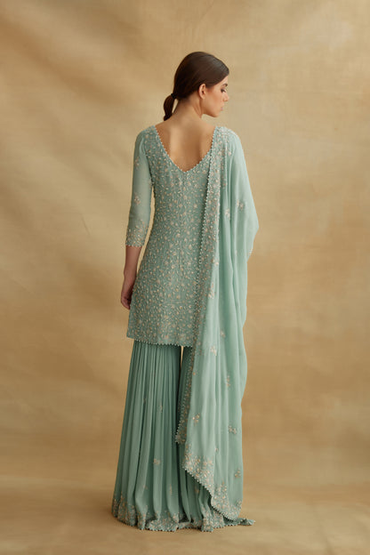 Gharara Set in Thread and Pearls embroidery