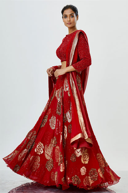 Lehenga Set in Rose Sequin Embroidery