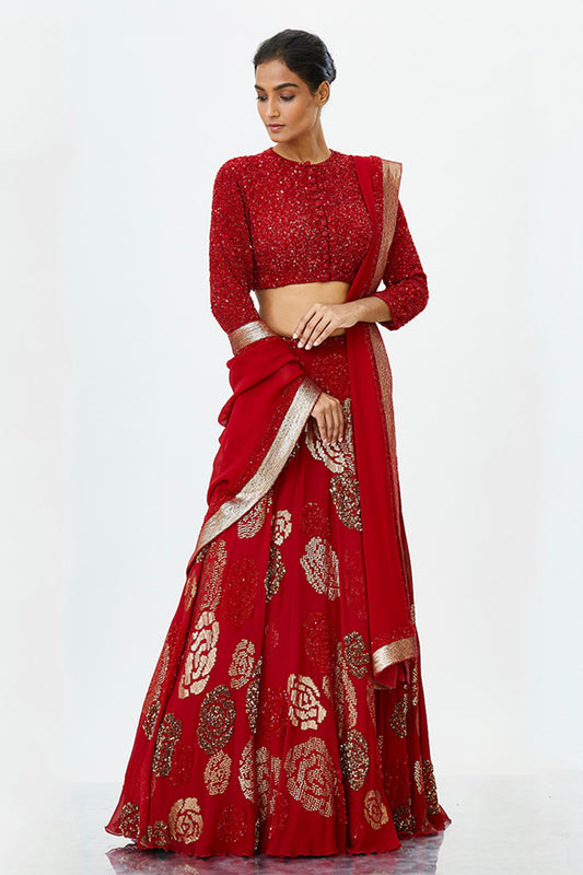 Lehenga Set in Rose Sequin Embroidery
