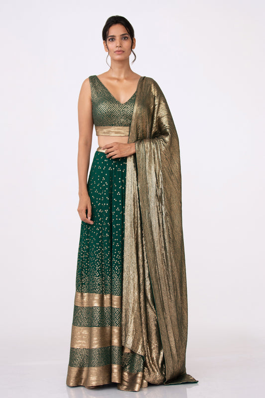 Lehenga Set in Bandini Inspired Sequin Embroidery