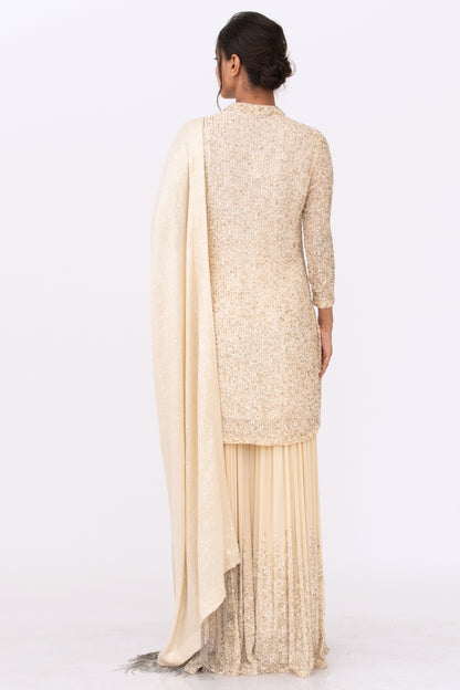 Gharara Set in Tonal Line Sequin Embroidery