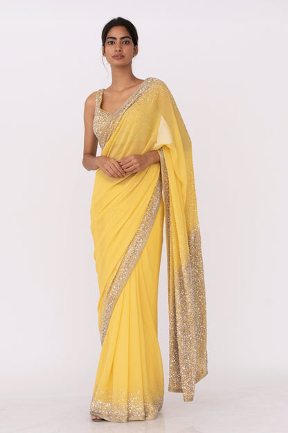 Sari Set in Silver Sequin Embroidery