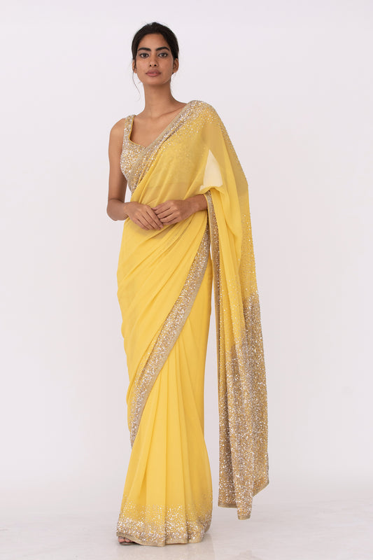 Sari Set in Silver Sequin Embroidery