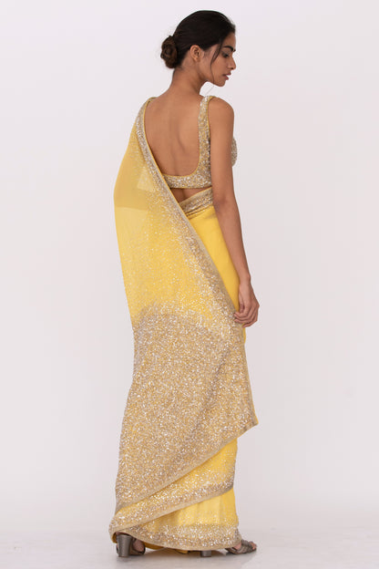 Sari Set in Silver Sequin Embroidery