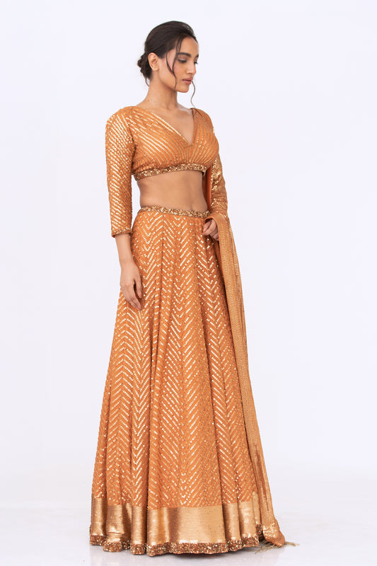 Lehenga Set in Tonal Gold Sequin Embroidery