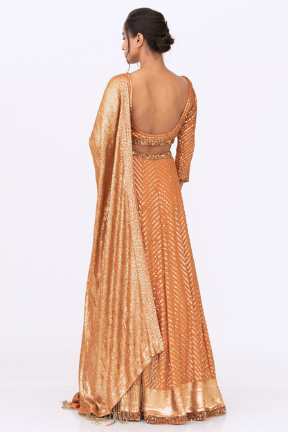 Lehenga Set in Tonal Gold Sequin Embroidery