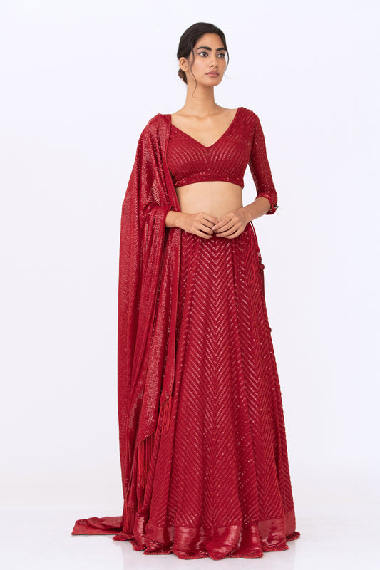 Lehenga Set in Tonal Sequin Embroidery