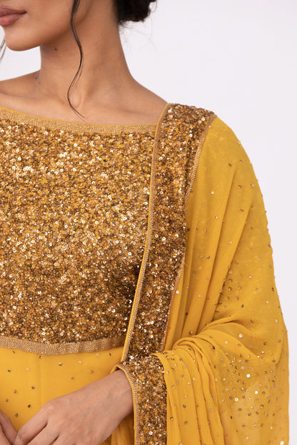 Gharara Set with Gold Sprinkle Sequin Embroidery